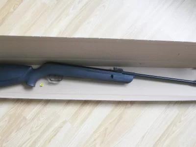 Gamo Hornet 0.22 with original box