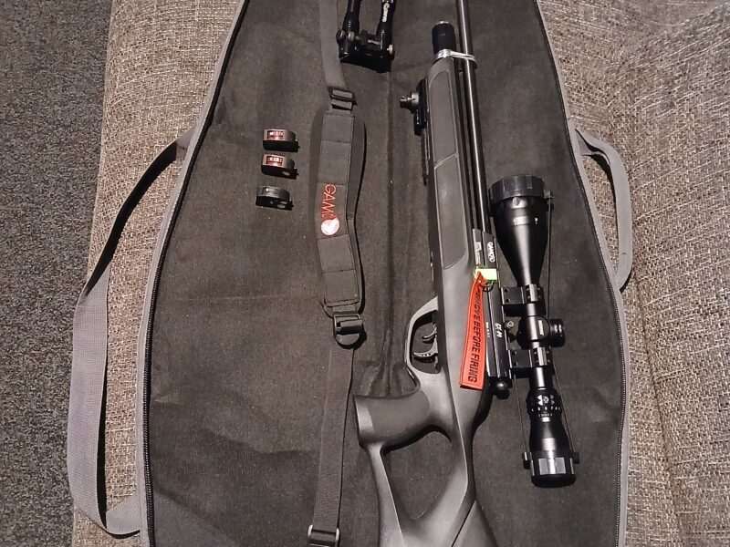 Gamo gx40. 22