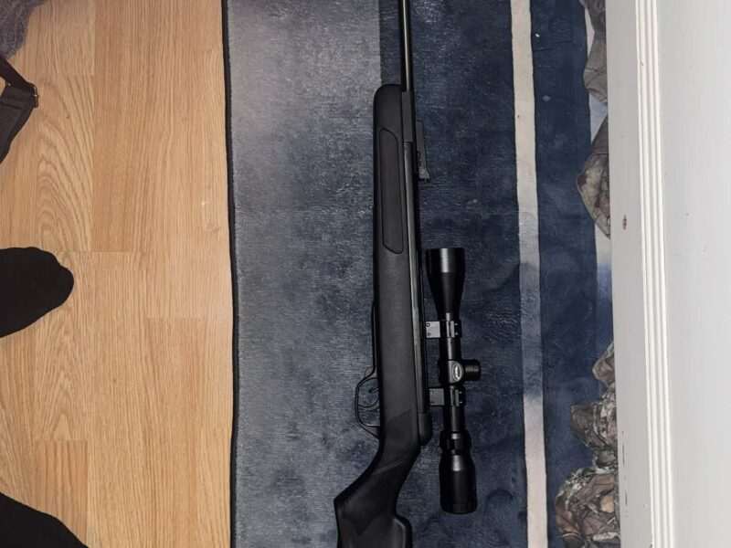 BSA Comet Evo Silentum .22