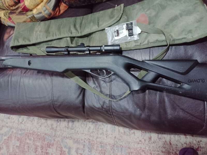 Gamo whisper 22