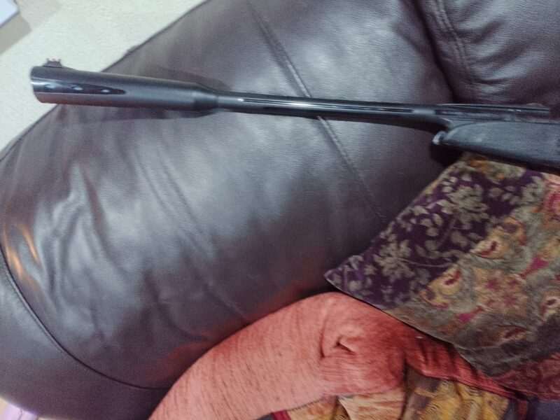 Gamo whisper 22