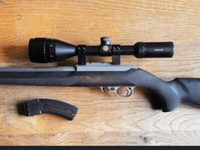 Ruger 1022