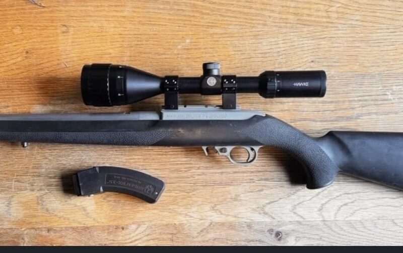 Ruger 1022