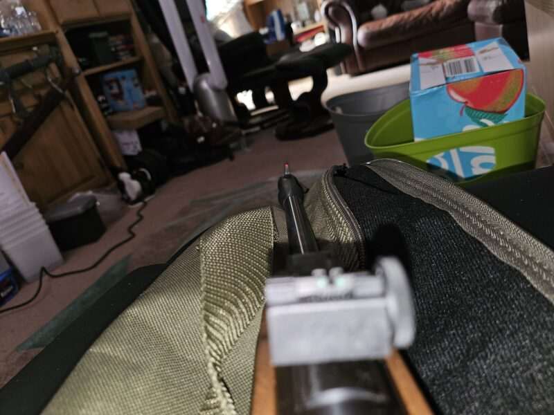 Remington .22 pest controller air rifle