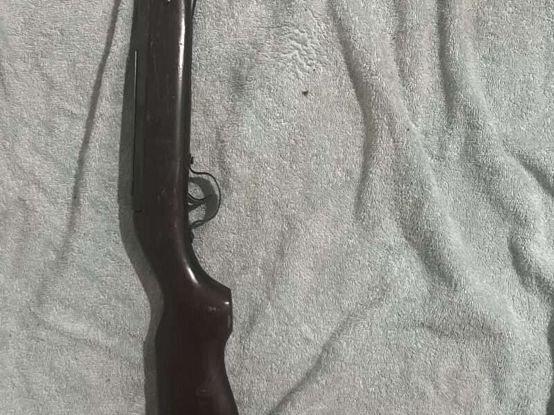 Webley & Scott Jaguar