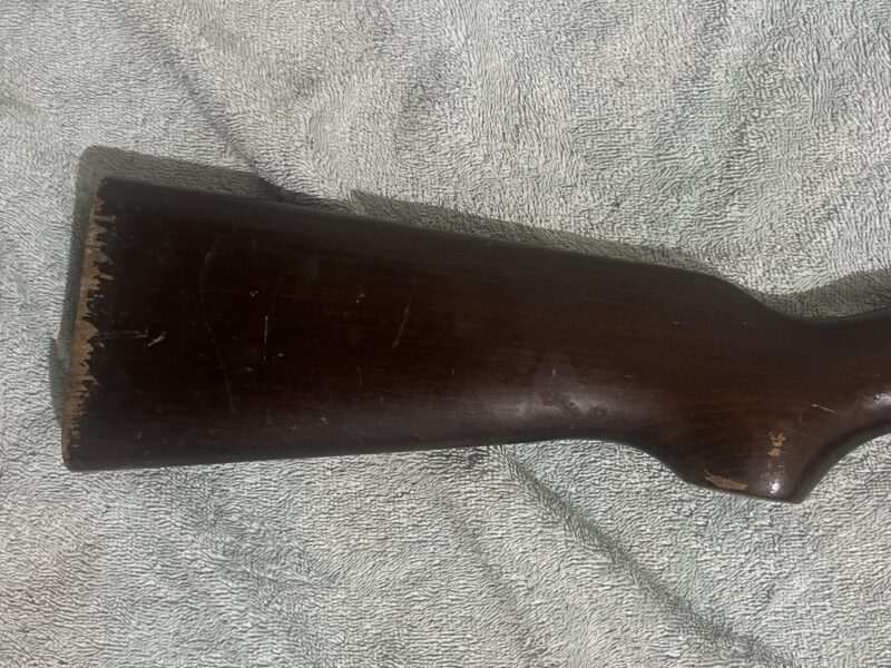 Webley & Scott Jaguar