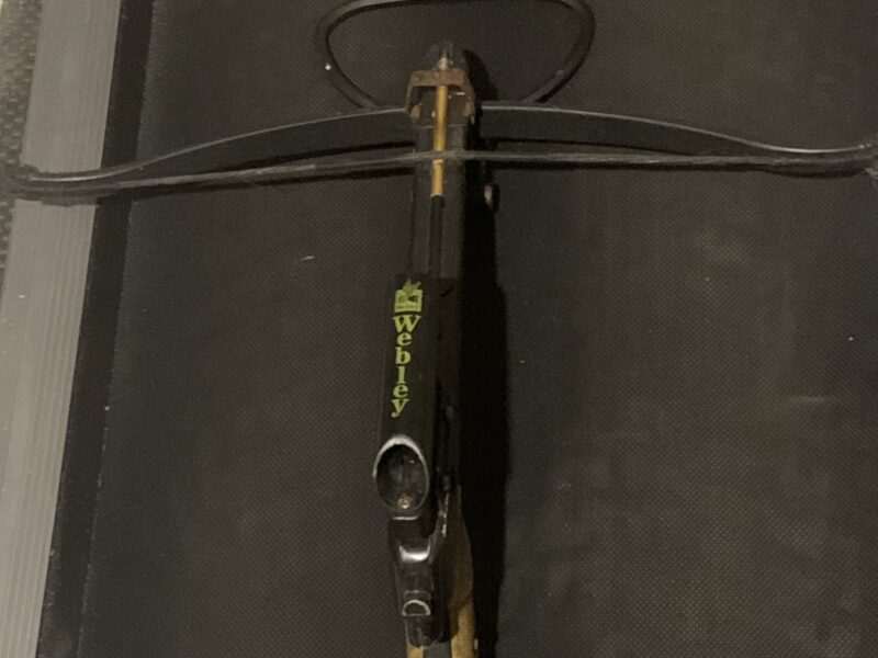 Barnett panzer hunter & Barnett trident