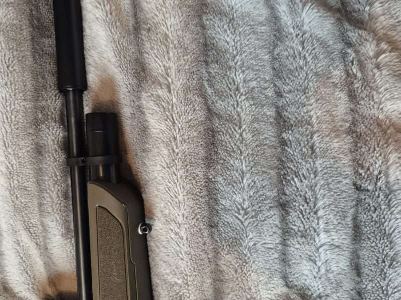Gamo Phox 2