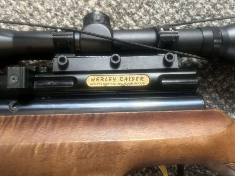 Webley Raider .22 2 shot pcp air rifle