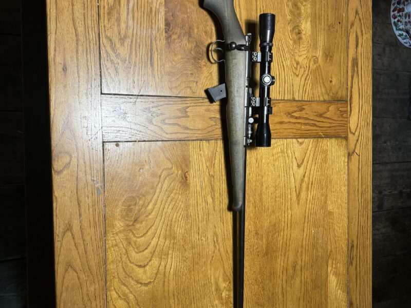 .22lr with moderator.