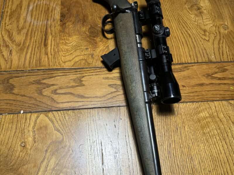 .22lr with moderator.