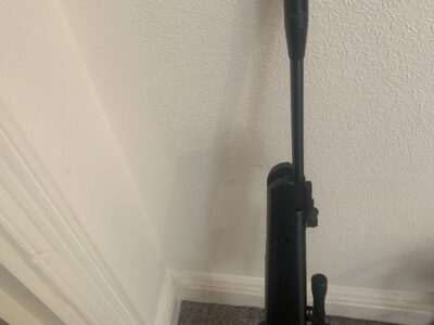 Remington air gun
