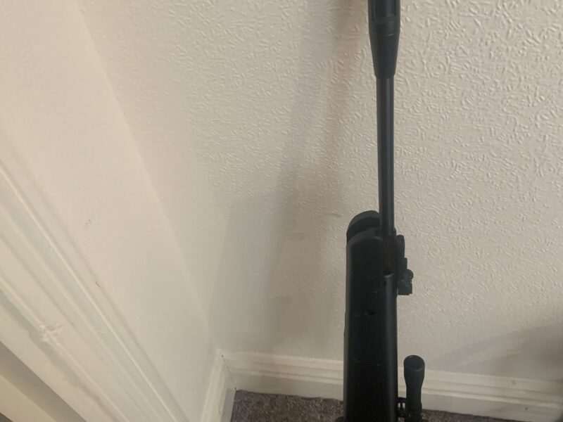 Remington air gun