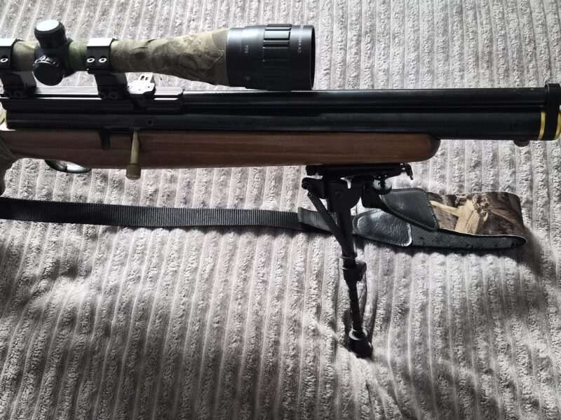 A Rare .22 Webley & Scott Venom Mamba Limited Edition