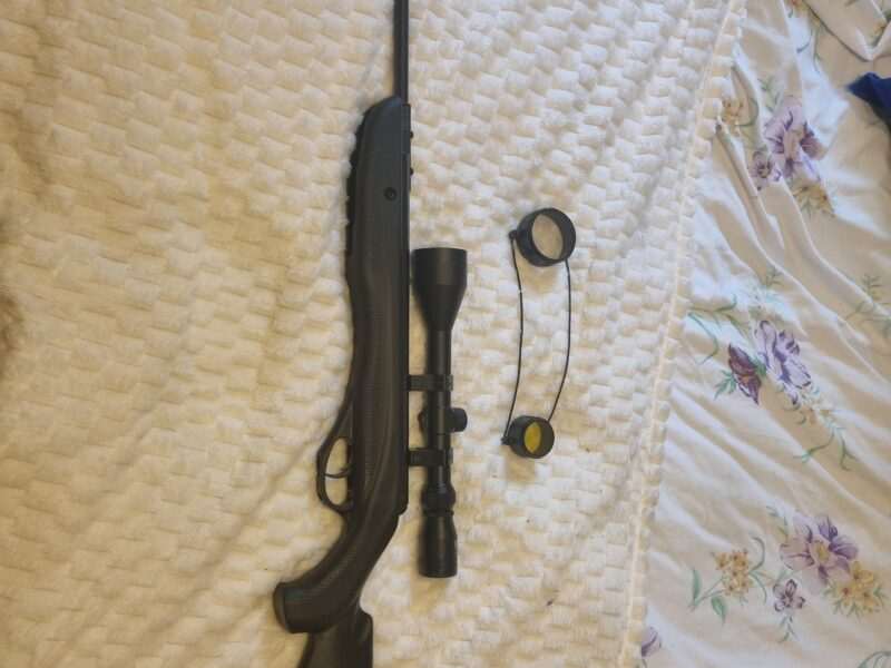 Crosman phantom