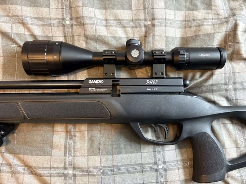 Gamo phox .22 full set up
