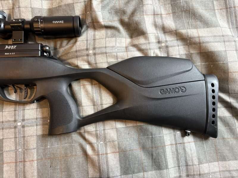 Gamo phox .22 full set up