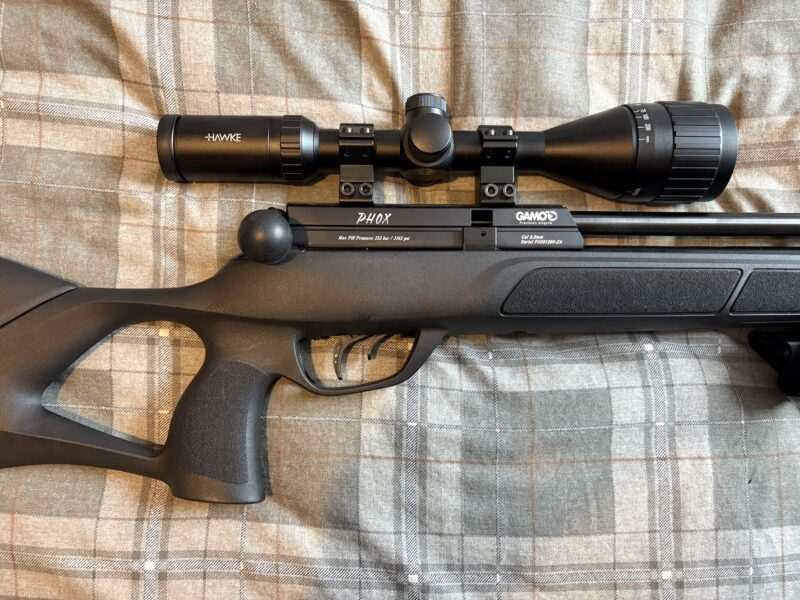Gamo phox .22 full set up