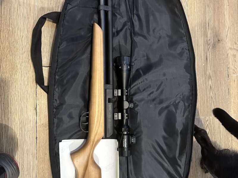 Beeman raider .22 pcp air rifle with scope bag pellets and compressor