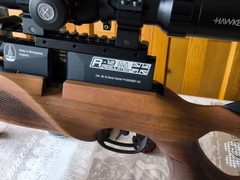 Bsa r12 clx pro .22 with hawk sidewinder