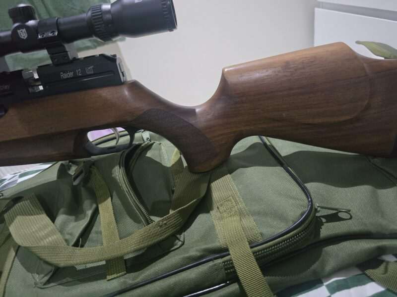 Webley raider 12 with air tank