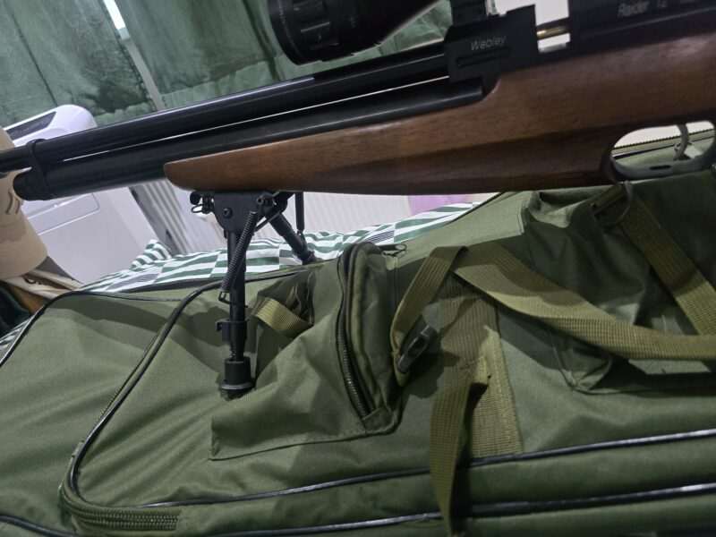 Webley raider 12 with air tank