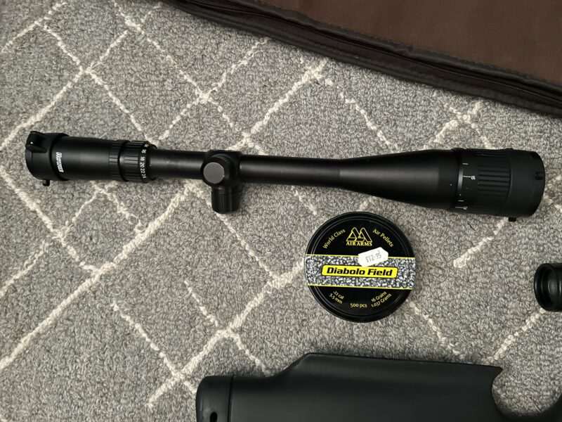 BSA Scorpion T-10 Air Riffle