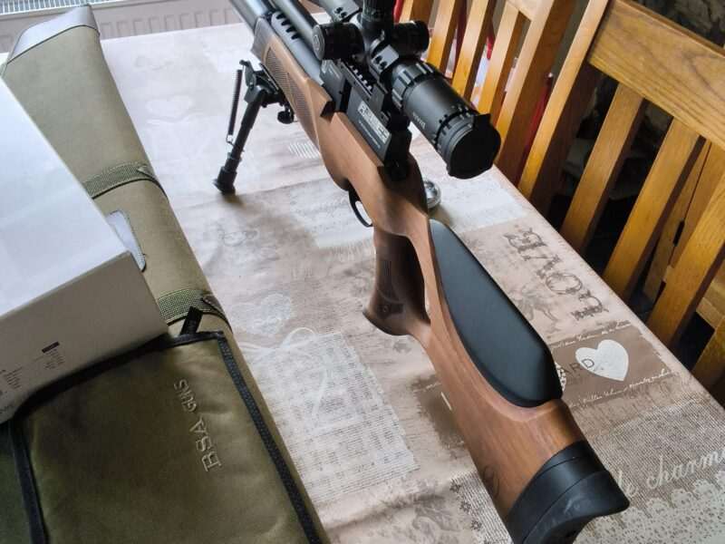 Bsa r12 clx pro .22 with hawk sidewinder
