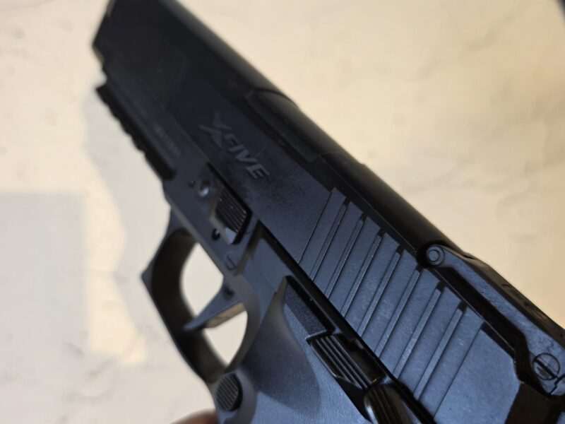Sig Sauer X-Five and P226