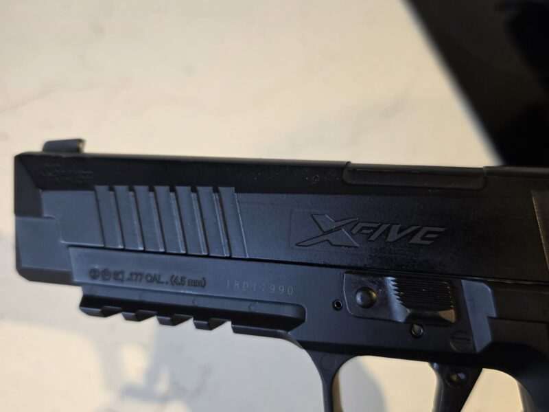Sig Sauer X-Five and P226