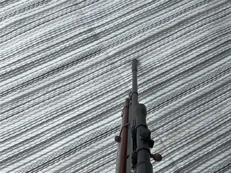 Air rifle