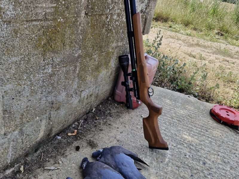Remington mammouth. 22