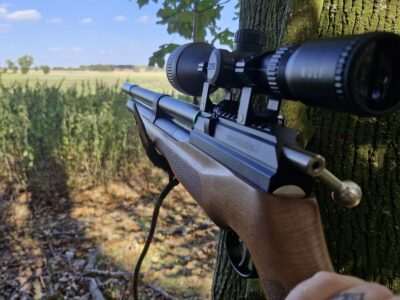 Remington mammouth. 22