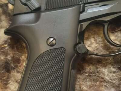 Walther cp 88 competition