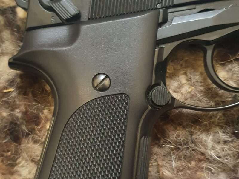 Walther cp 88 competition