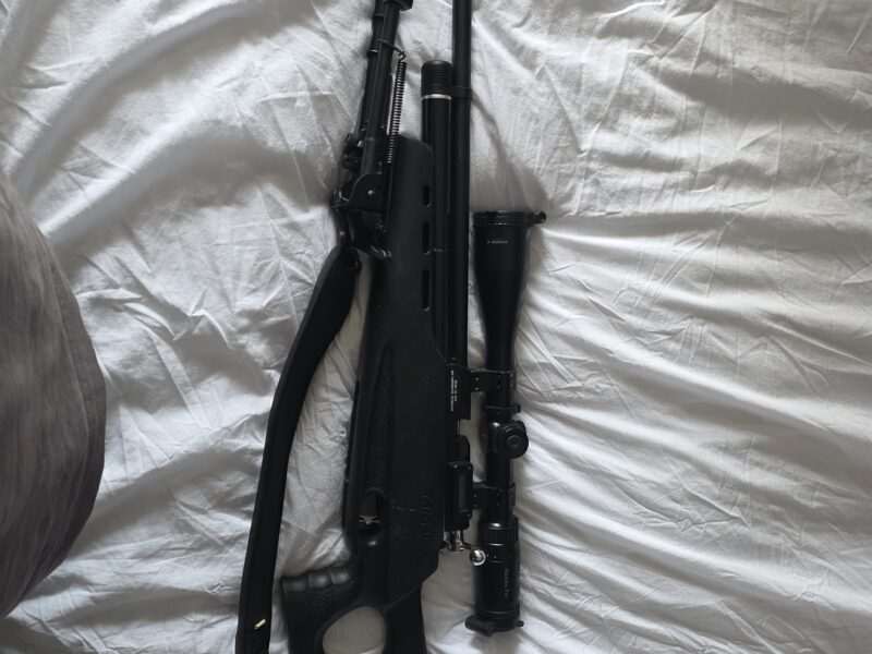 Daystate target